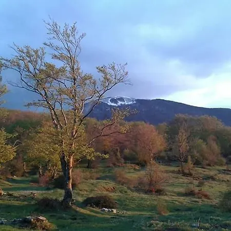 Parco Pollino Rhp Отель